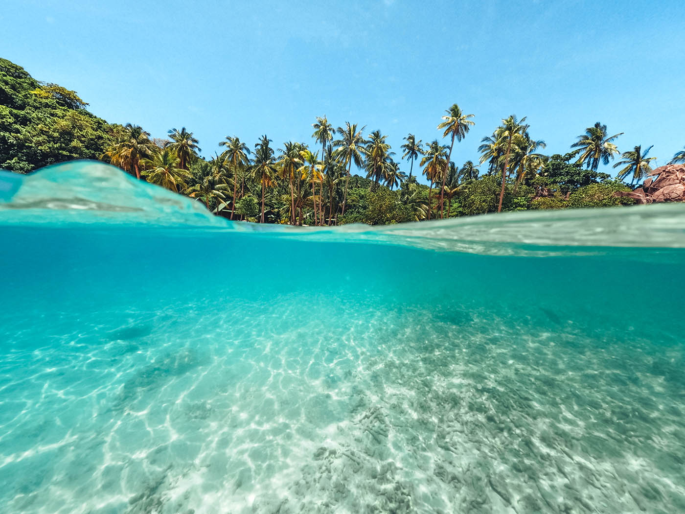 tropical island palm underwater beach